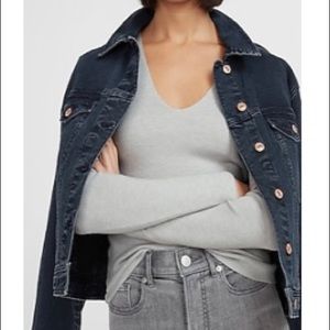 Express Fitted V-Neck Sweater